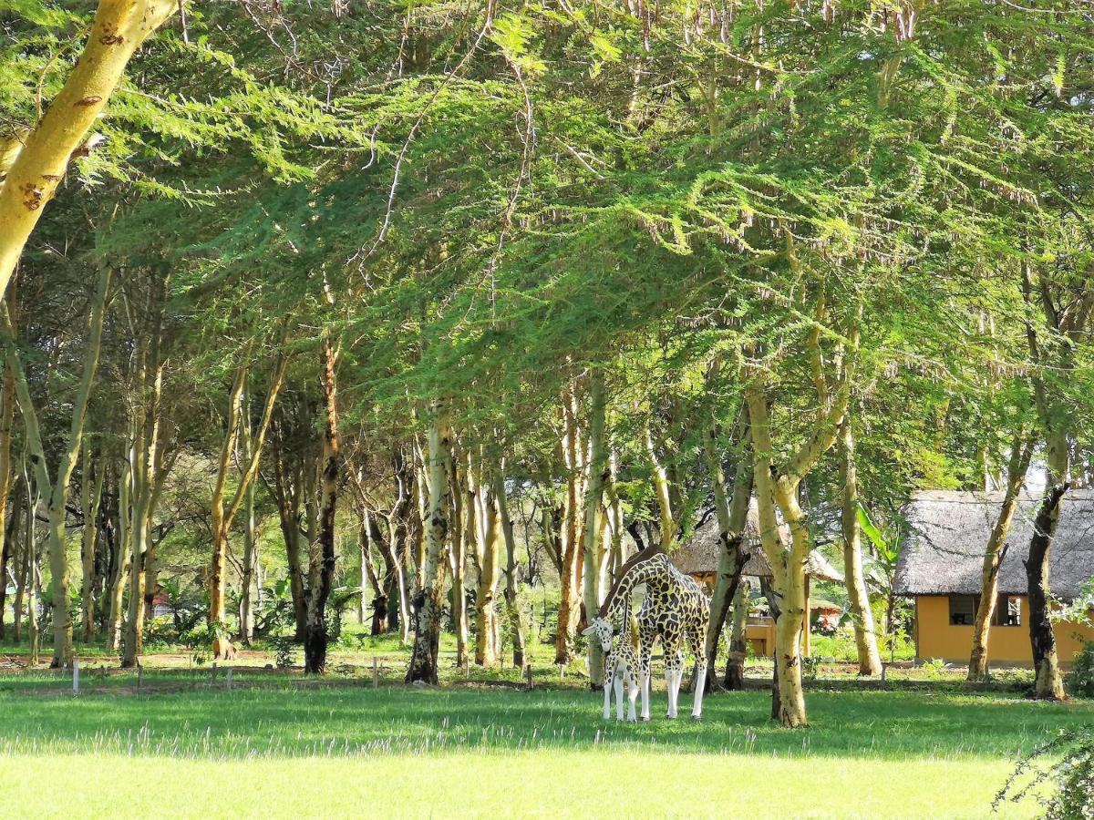Africa Safari Camping Mto Wa Mbu Esterno foto